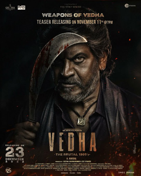 Vedha 2023 Hindi ORG Dual Audio 500MB HDRip 480p ESub Download