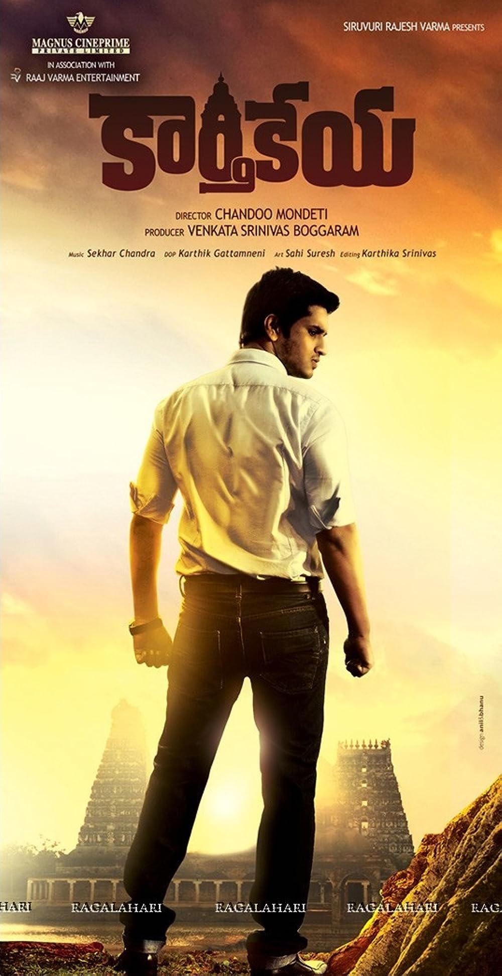 Karthikeya 2014 ORG Hindi Dual Audio UNCUT 720p HDRip 1GB Download