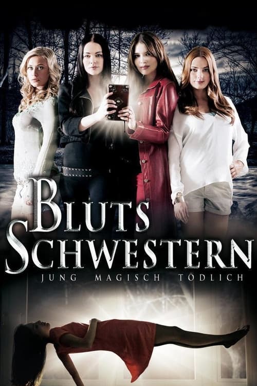 Blutsschwestern Jung magisch tödlich (2013) Hindi ORG Dual Audio 400MB BluRay 480p Download