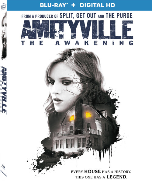 Amityville: The Awakening 2017 Dual Audio Hindi ORG 1080p BluRay 1.7GB Download