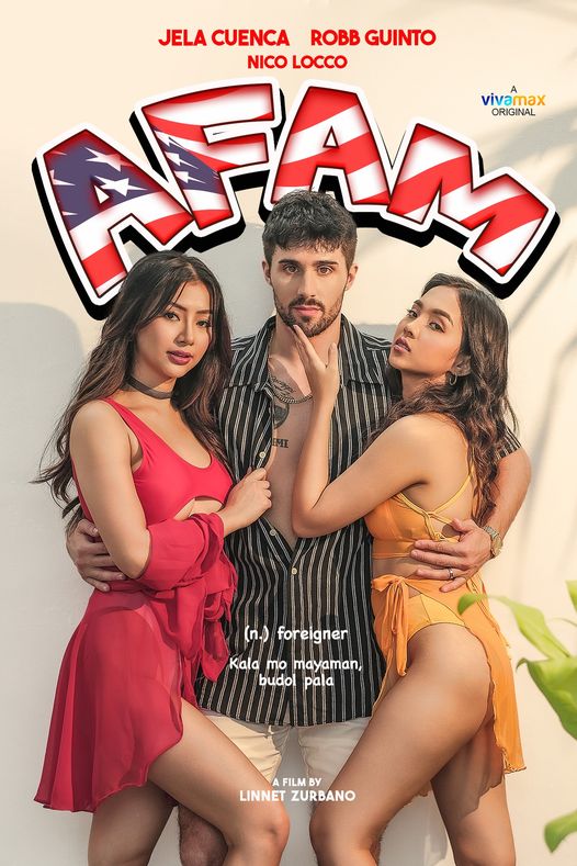 18+Afam (2023) Hindi (HQ-Dub) 300MB WEB-DL 480p Download