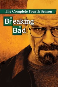 Breaking Bad (2011) S04E07 Dual Audio Hindi ORG 1080p BluRay 700MB ESubs Download