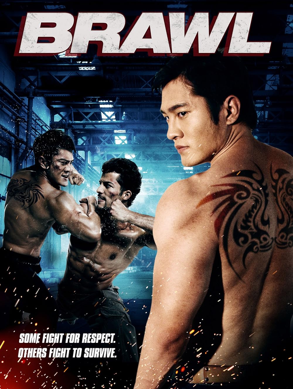 Brawl 2012 Hindi ORG Dual Audio 720p HDRip ESub 1GB Download