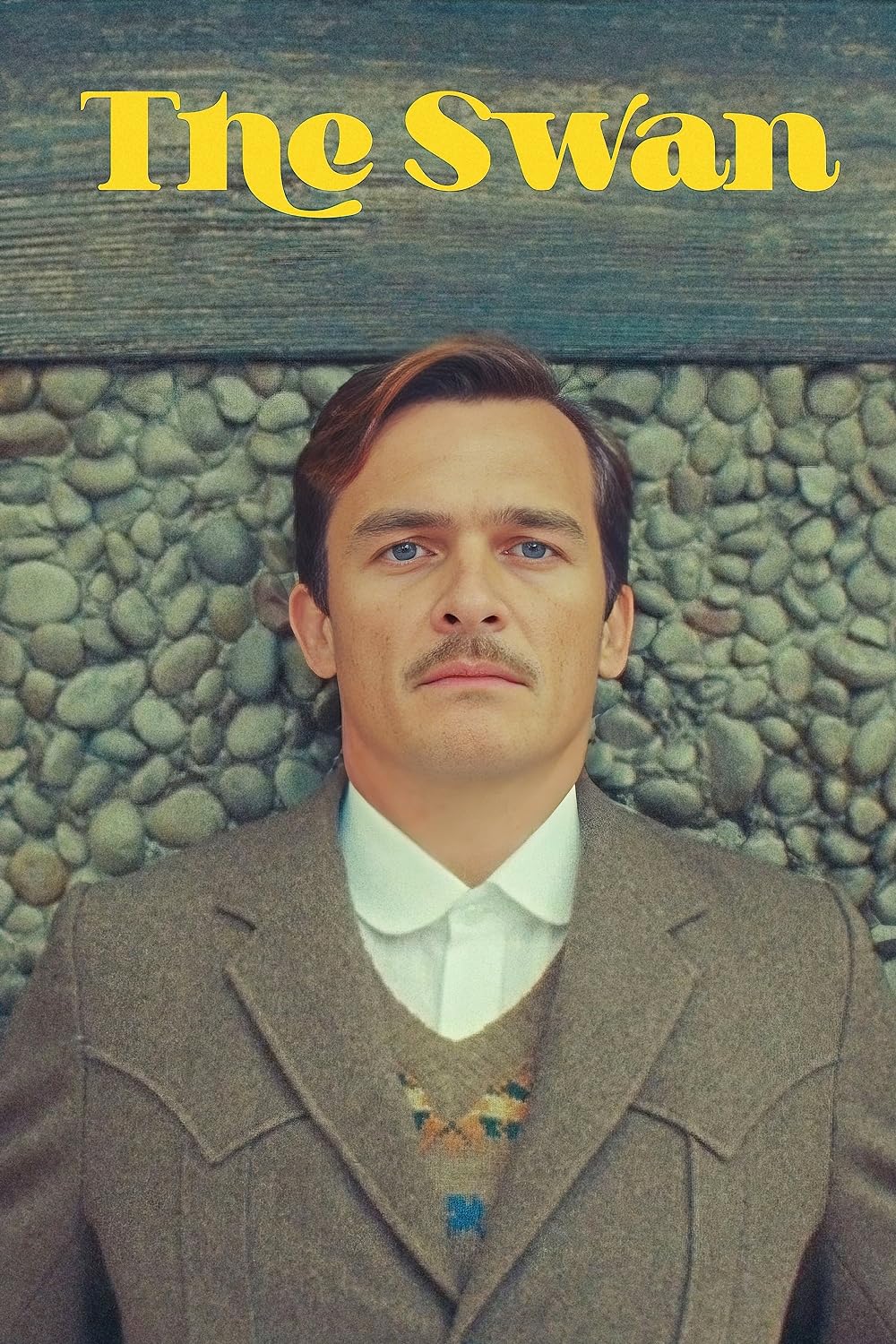 The Swan 2023 The Swan 2023 Hindi ORG Dual Audio Movie DD5.1 1080p 720p 480p Web-DL MSubs