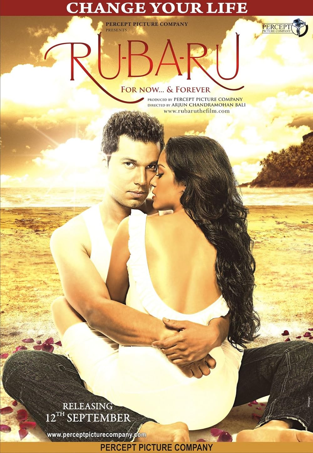 Ru-Ba-Ru 2008 Hindi Movie 1080p 720p 480p AMZN HDRip ESubs Download