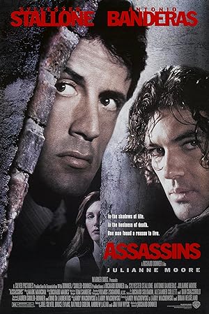 Assassins (1995) Dual Audio Hindi (ORG) 550MB BluRay 480p ESubs Download