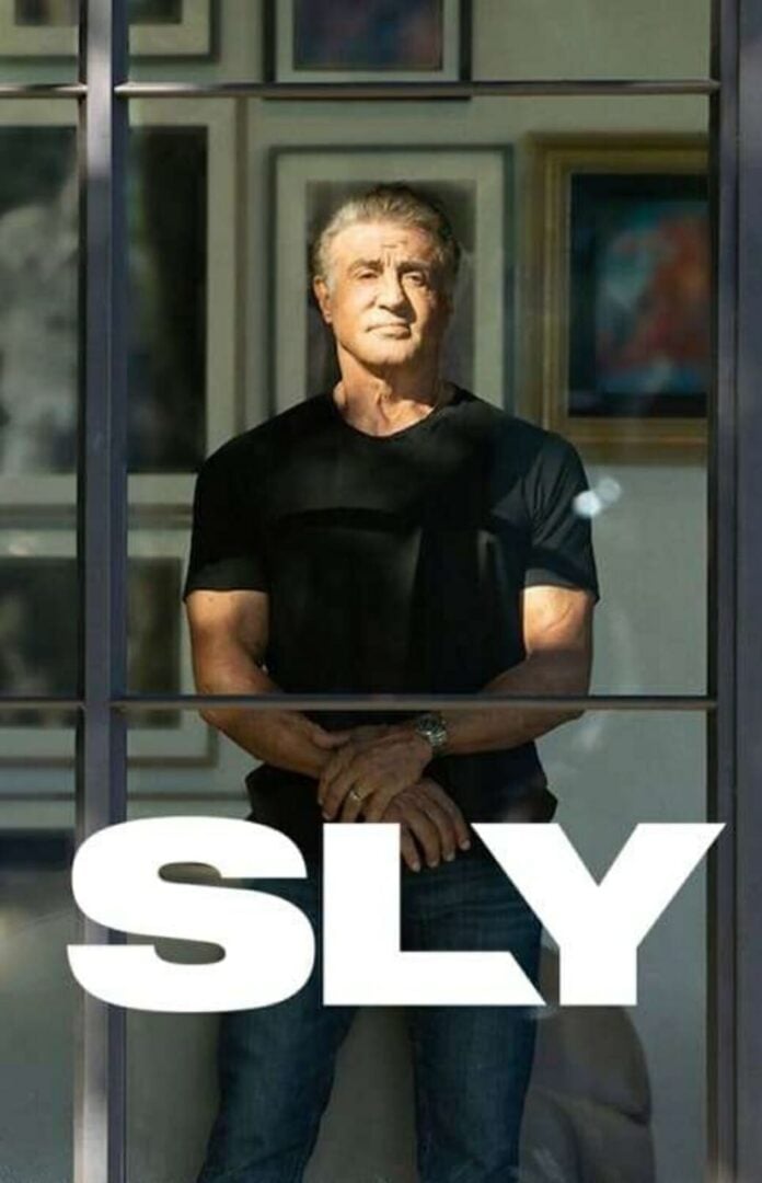 Sly (2023) Hindi (HQ-Dub) 720p WEBRip 800MB Download