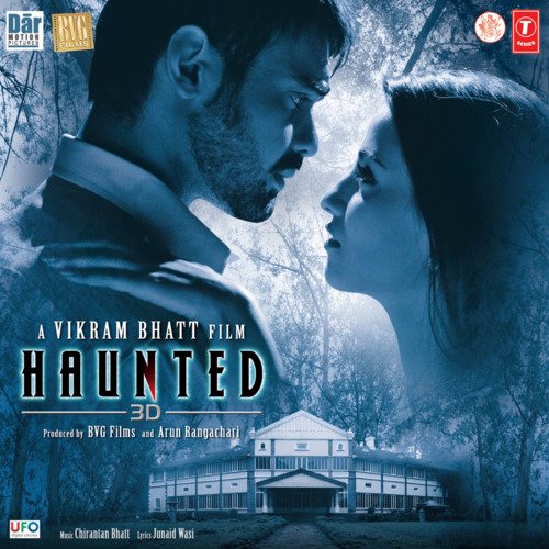 Haunted 3D 2011 Hindi Movie 1080p 720p 480p HDRip ESub Download