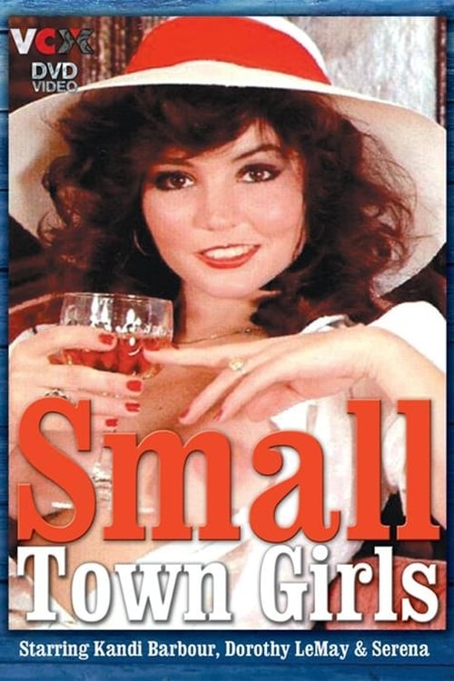 18+ Small Town Girls 1979 English 250MB HDRip 480p Download