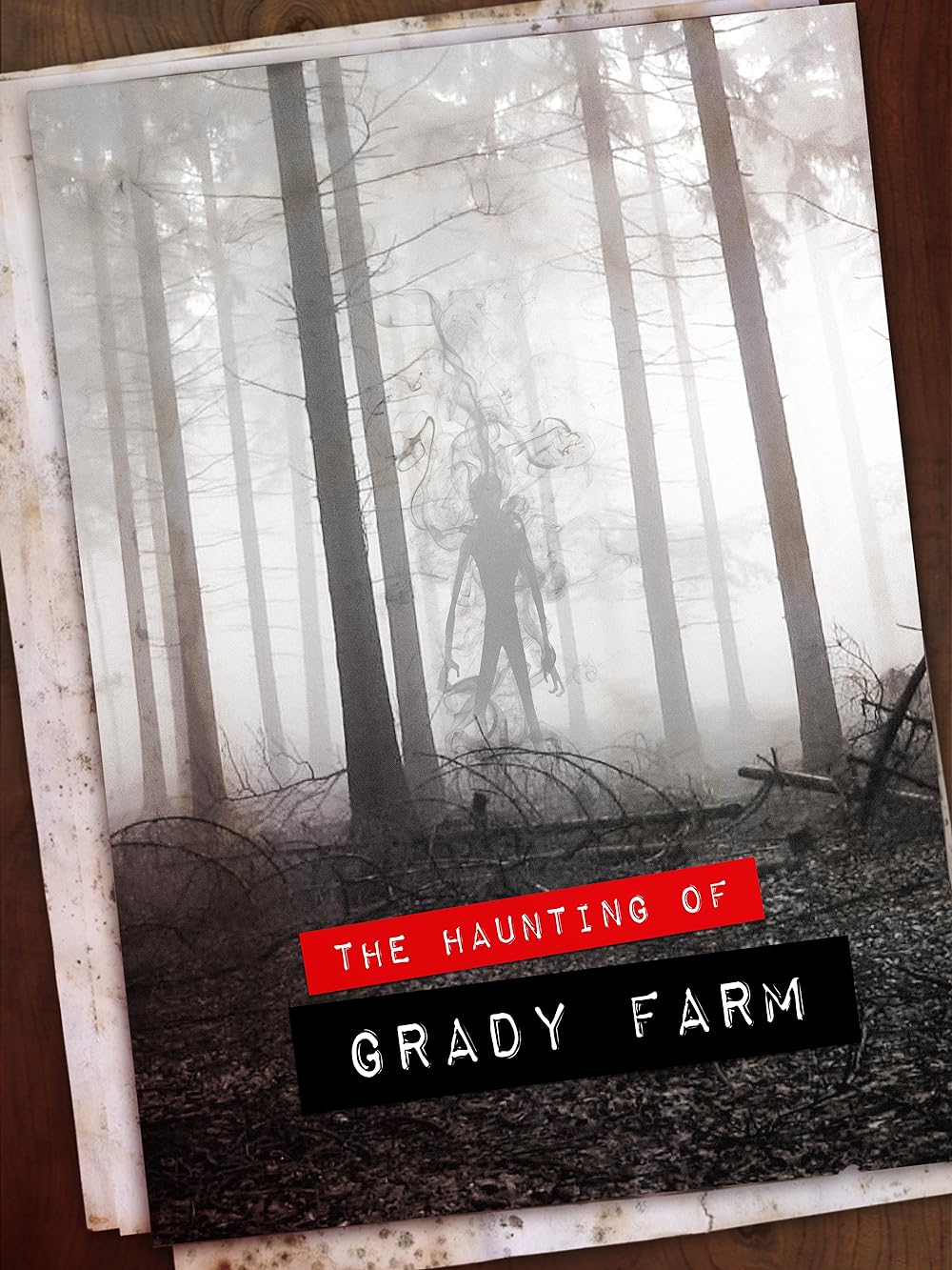The Haunting of Grady Farm 2019 Hindi ORG Dual Audio 720p 480p HDRip Download