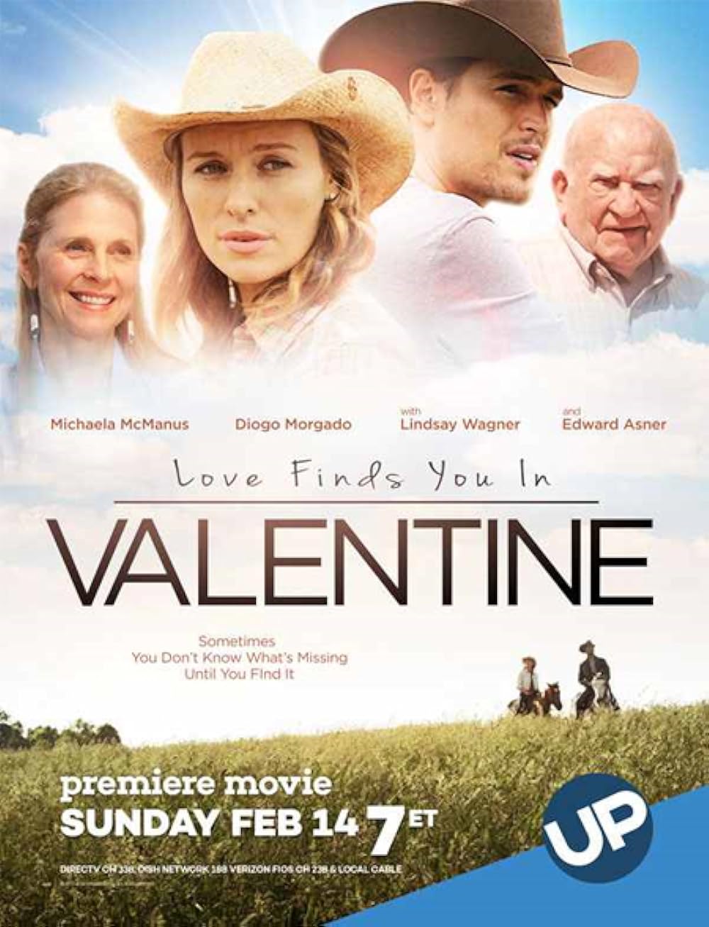 Love Finds You in Valentine 2016 Hindi ORG Dual Audio 1080p 720p 480p BluRay ESub Download
