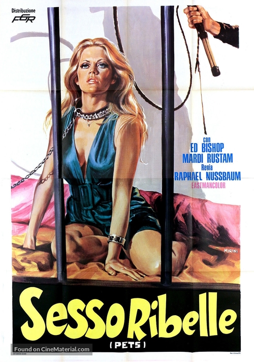 18+ Pets 1973 English 300MB HDRip 480p Download