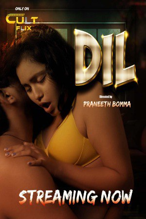 Dil 2024 CultFlix S01E01T02 Hindi Series 720p HDRip 400MB Download