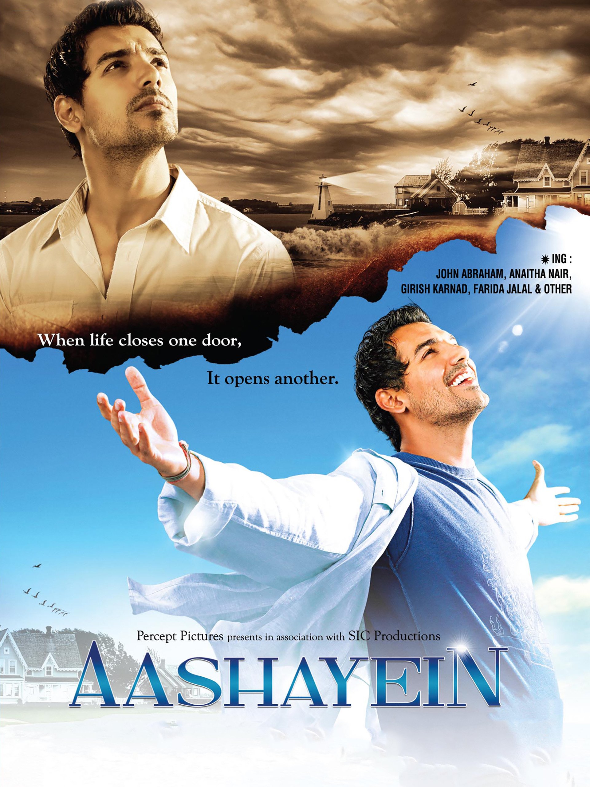Aashayein (2010) Hindi Movie 1080p 720p 480p HDRip ESub Download