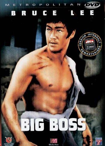 The Big Boss (1971) Hindi ORG Dual Audio 1080p | 720p | 480p BluRay ESub Download