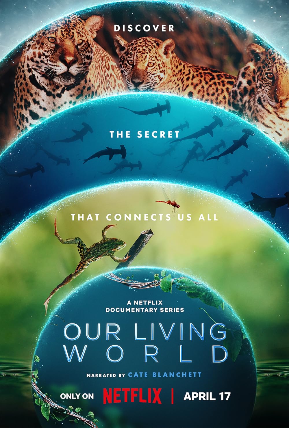 Our Living World (2024) S01 Hindi ORG Dual Audio 720p 480p NF WEB-DL ESub Download