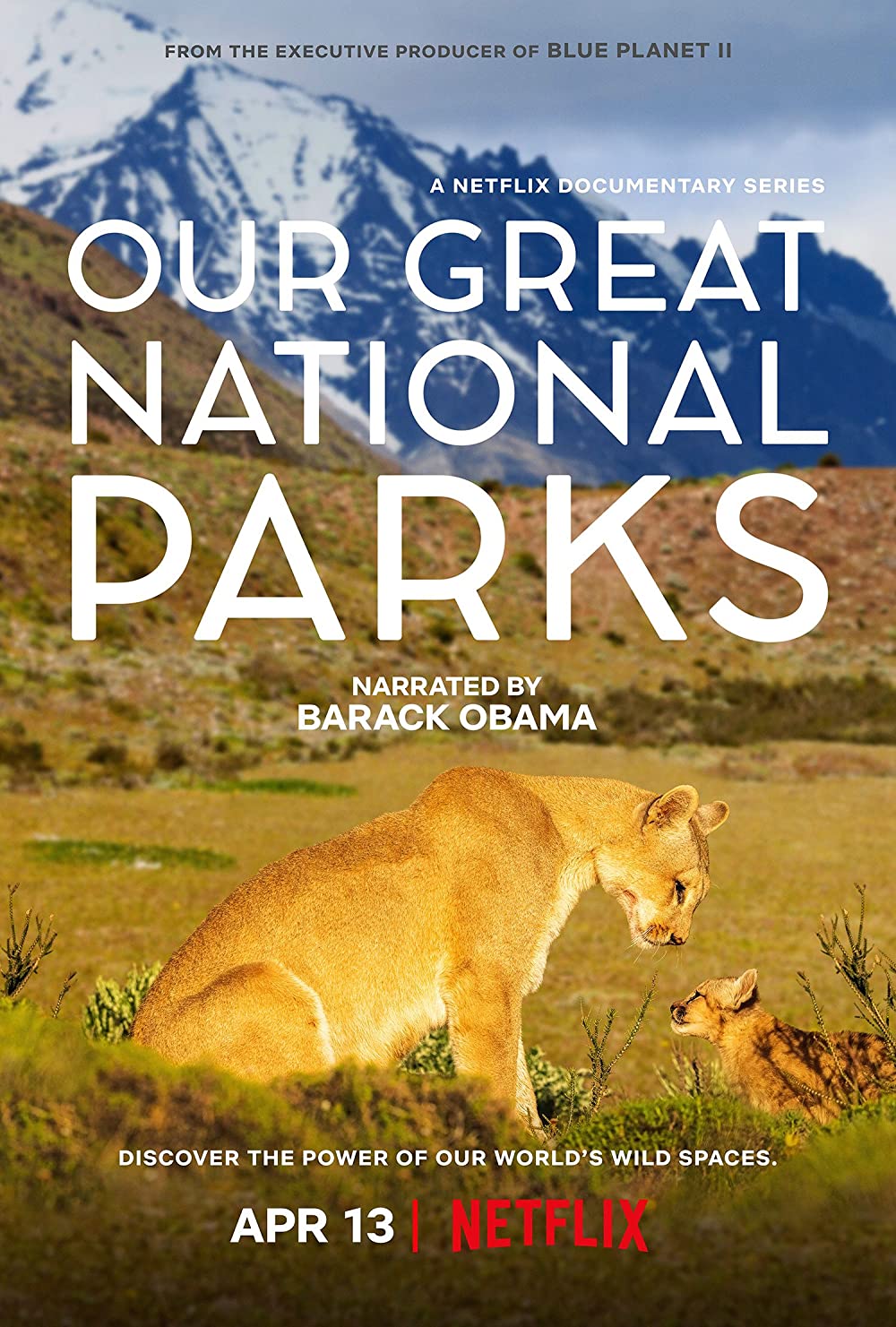 Our Great National Parks (2024) Hindi S01 Complete 1080p 720p 480p HDRip Download