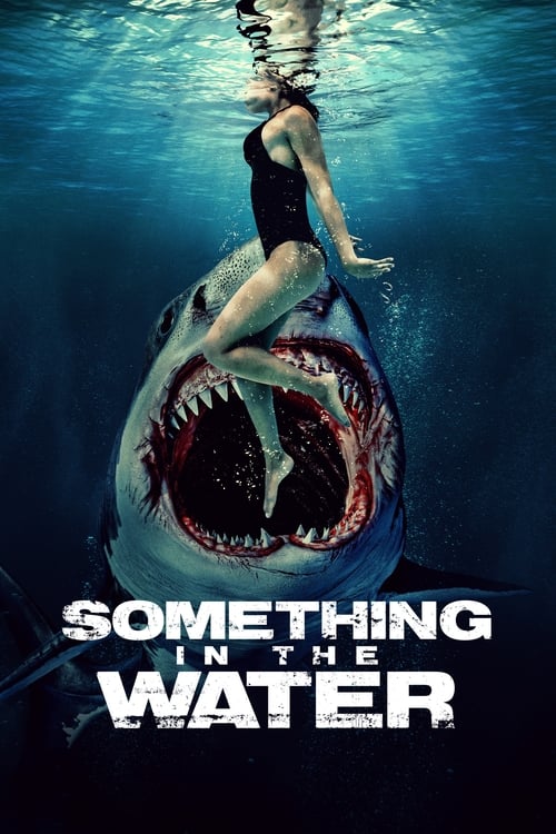Something In The Water (2024) English Movie 1080p 720p 480p WEB-DL ESubs Download