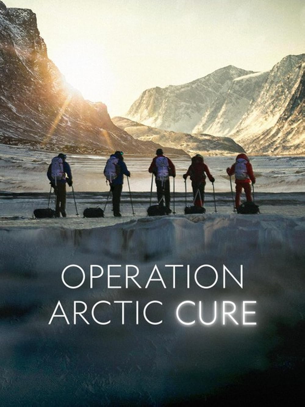 Operation Arctic Cure 2024 Hindi ORG Dual Audio 1080p | 720p HDRip ESub Download
