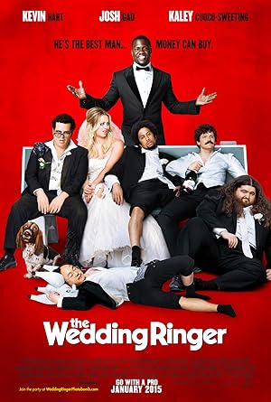 The Wedding Ringer (2015) Dual Audio Hindi (ORG) 1080p 720p 480p BluRay ESubs