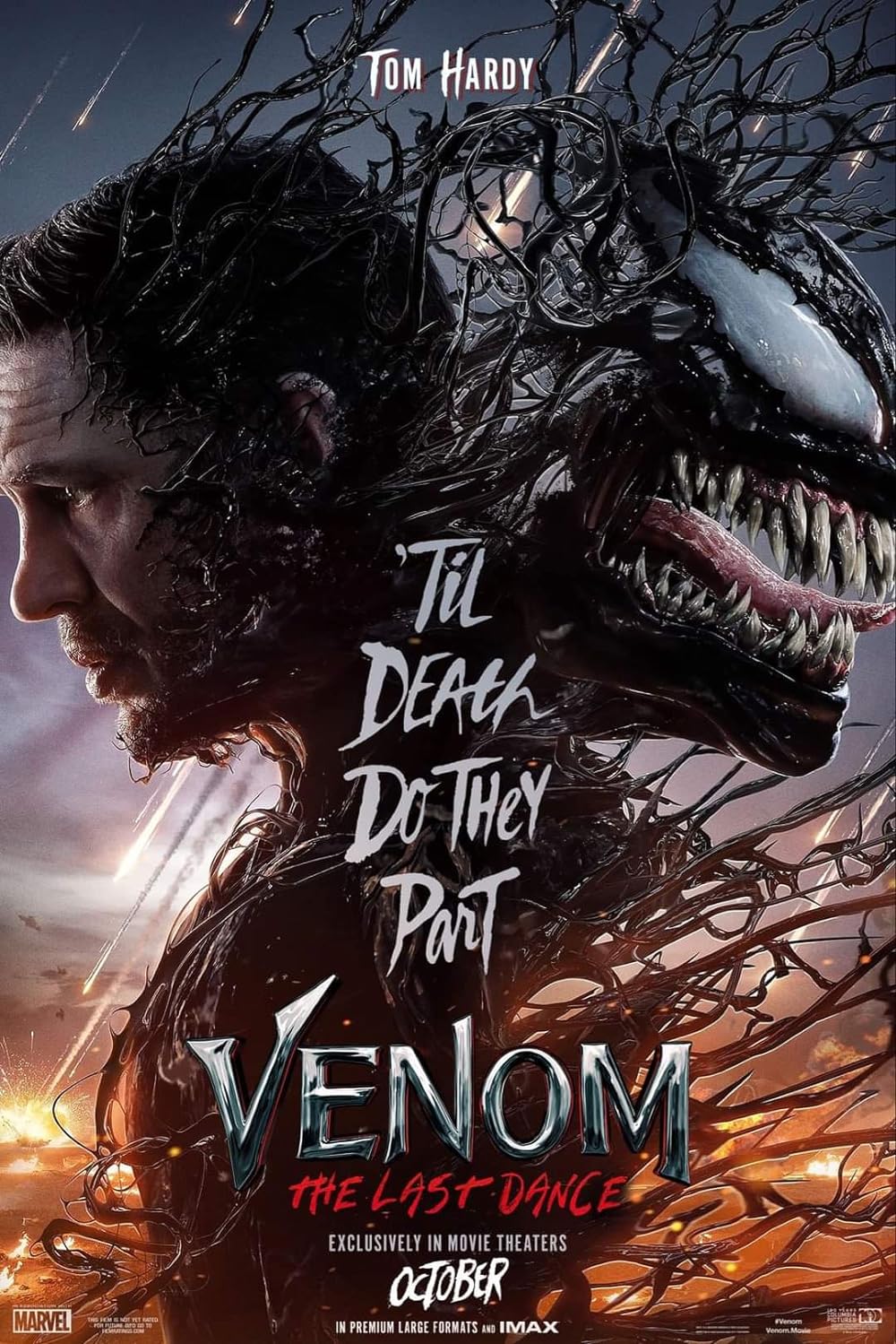 Venom The Last Dance 2024 Hindi Official Trailer 1080p HDRip Download Venom The Last Dance 2024 Hindi Official Trailer 1080p HDRip Download