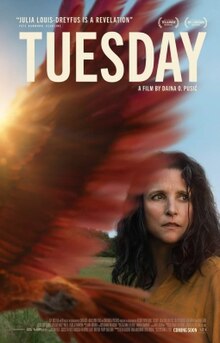 Tuesday (2023) Hindi (HQ-Dub) 1080p 720p 480p HDCAM Download