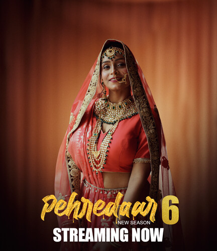 Pehredaar (2024) S06 E01-03 BigPlay Hindi Web Series 1080p | 720p | 480p HDRip Download