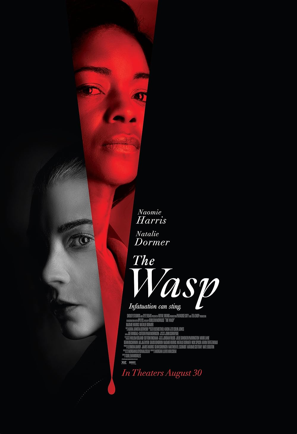 The Wasp 2024 Hindi (HQ-DUB) Full Movie HDCAM | 1080p | 720p | 480p | Download