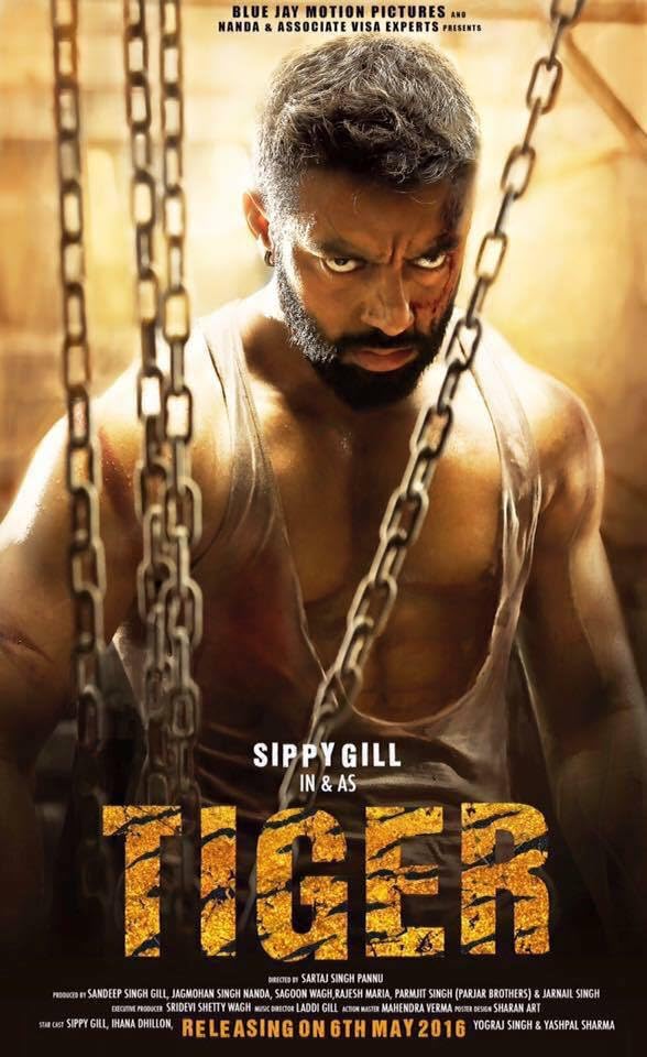 Tiger 2016 Punjabi Full Movie 1080p | 720p | 480p Kableone HDRip Download