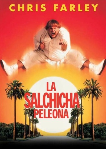 Beverly Hills Ninja (1997) Hindi ORG Dual Audio 1080p | 720p | 480p BluRay ESubs Download