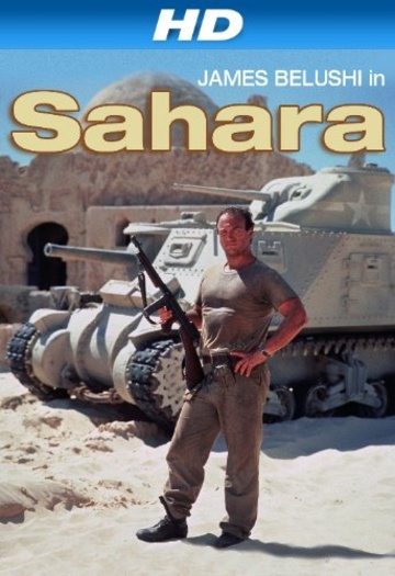 Sahara (1995) Hindi ORG Dual Audio HDRip | 1080p | 720p | 480p | ESubs