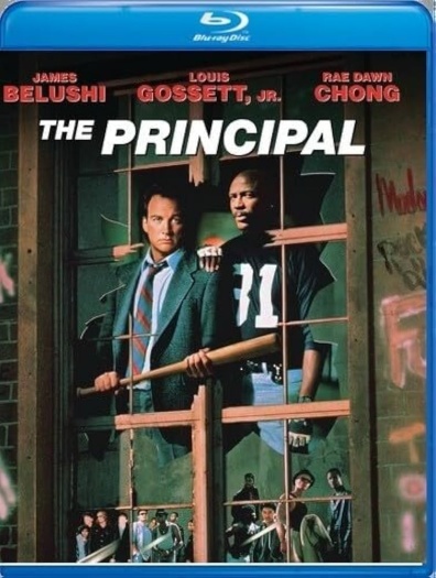 The Principal (1987) Hindi ORG Dual Audio 1080p | 720p | 480p BluRay ESubs Download