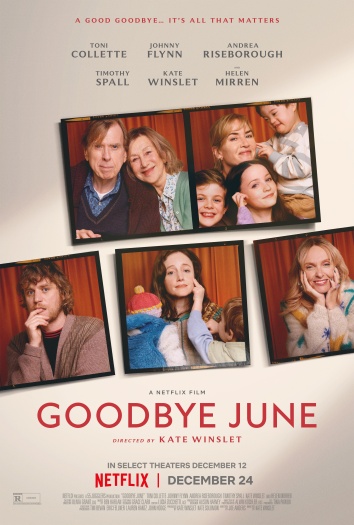 Goodbye June (2025) Hindi ORG Dual Audio 1080p | 720p | 480p HDRip ESubs Download