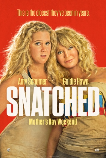 Snatched (2017) Hindi ORG Dual Audio 720p | 480p BluRay ESubs Download