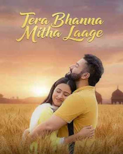 Tera Bhanna Mitha Laage (2025) Punjabi Movie 1080p | 720p | 480p HDRip ESubs Download
