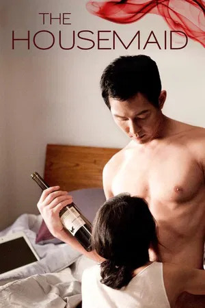 The Housemaid (2010) Hindi ORG Dual Audio 1080p | 720p | 480p HDRip ESubs Download