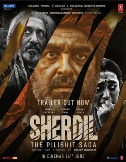 Sherdil (2022) NF Hindi Movie 1080p | 720p | 480p HDRip ESubs Download
