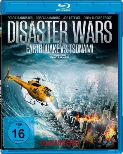 Disaster Wars: Earthquake vs. Tsunami (2013) Hindi ORG Dual Audio 1080p | 720p | 480p BluRay ESubs Download